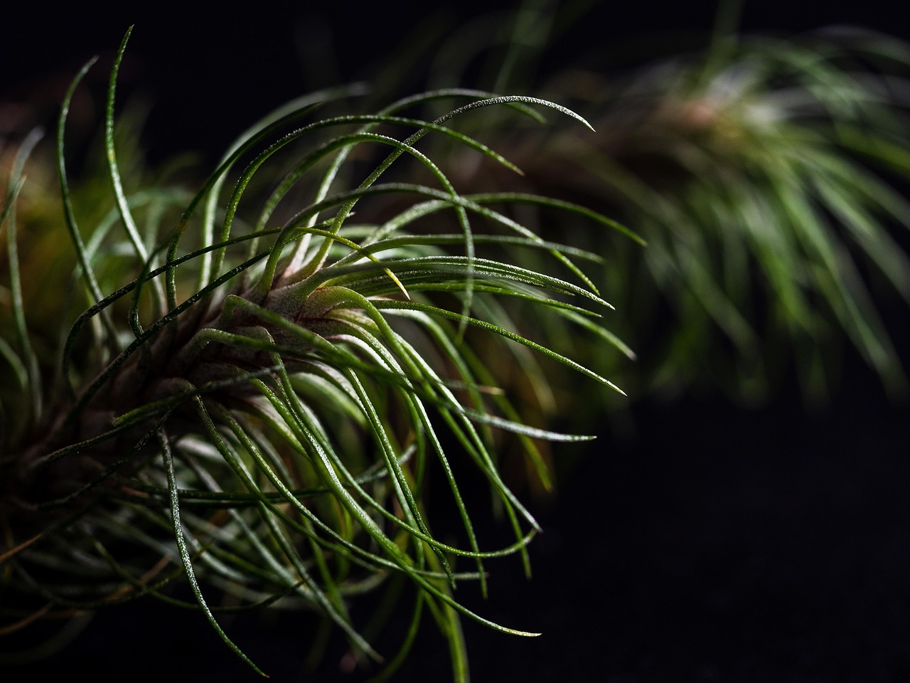 镜面爱喜冰爆珠：购买国外鞋子平台