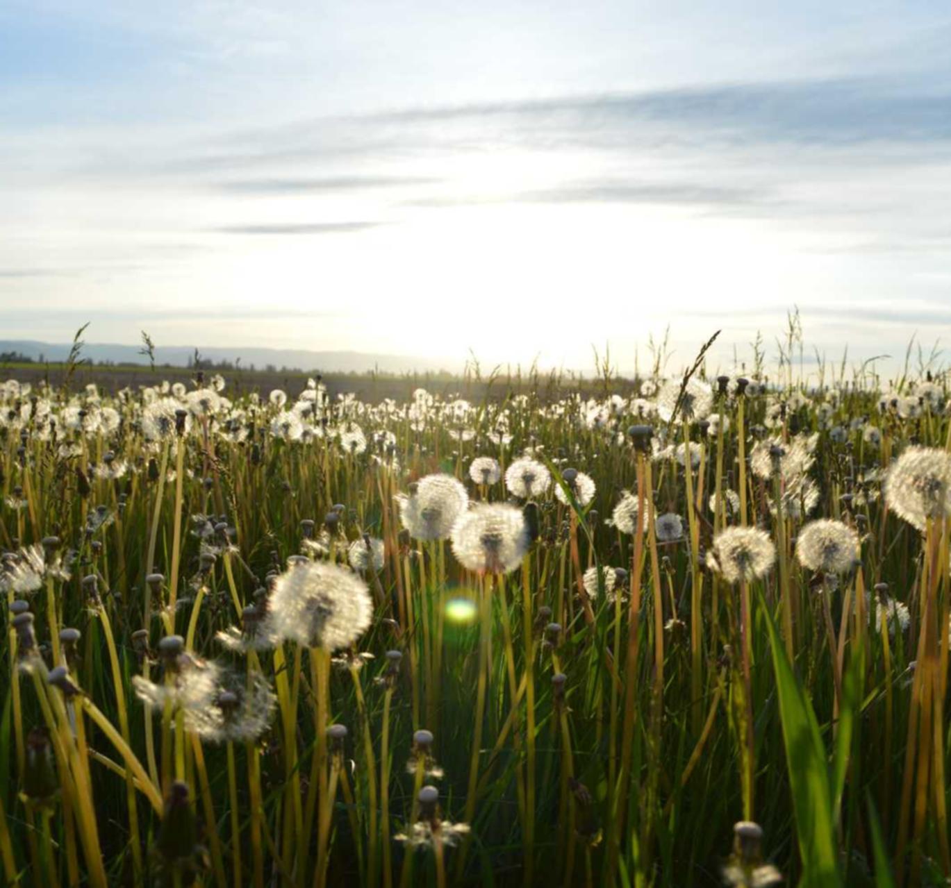 小鸟云实名账号:衢州工商注册代理选择哪家
