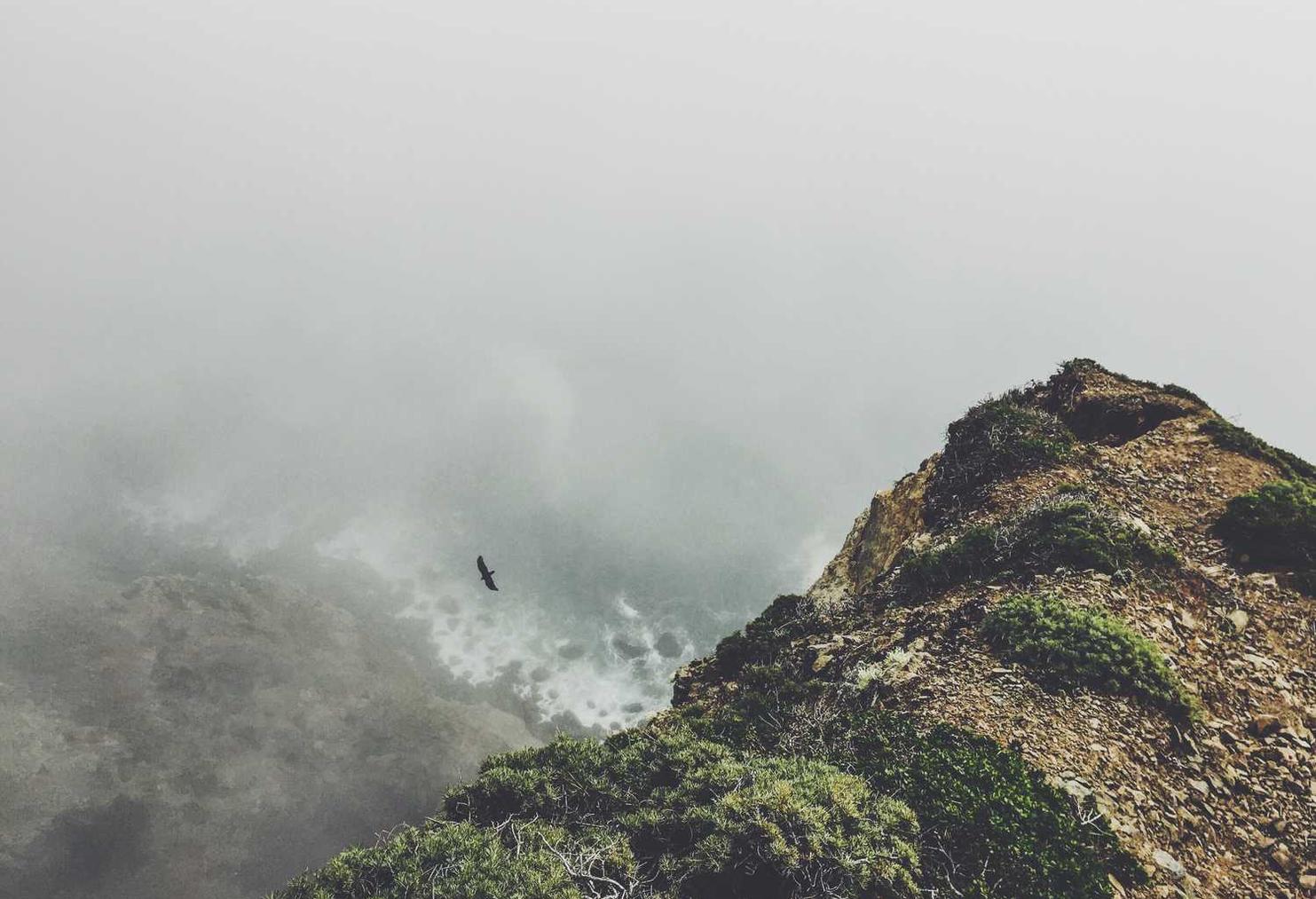 cc网页端|深圳抵押车购买平台有哪些