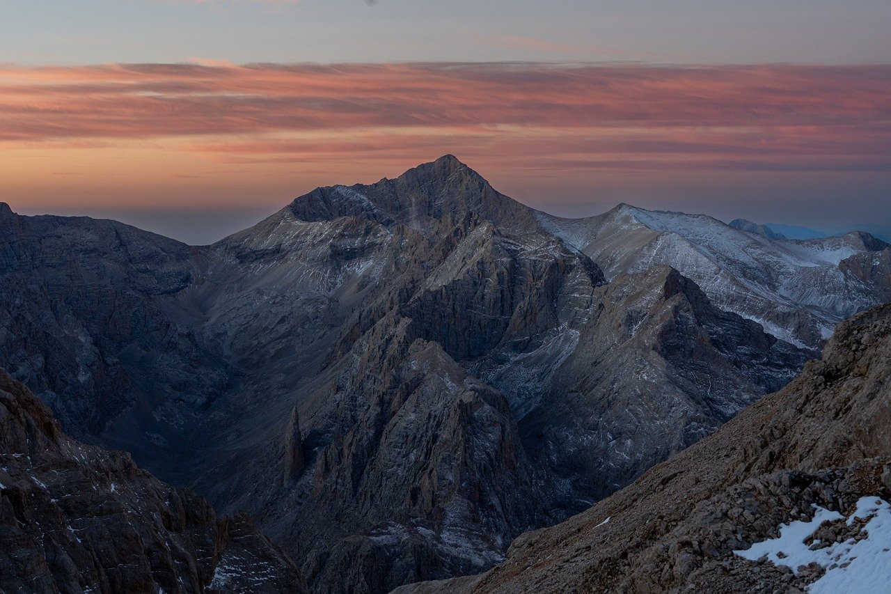 新城金莲app官方详情下载教程