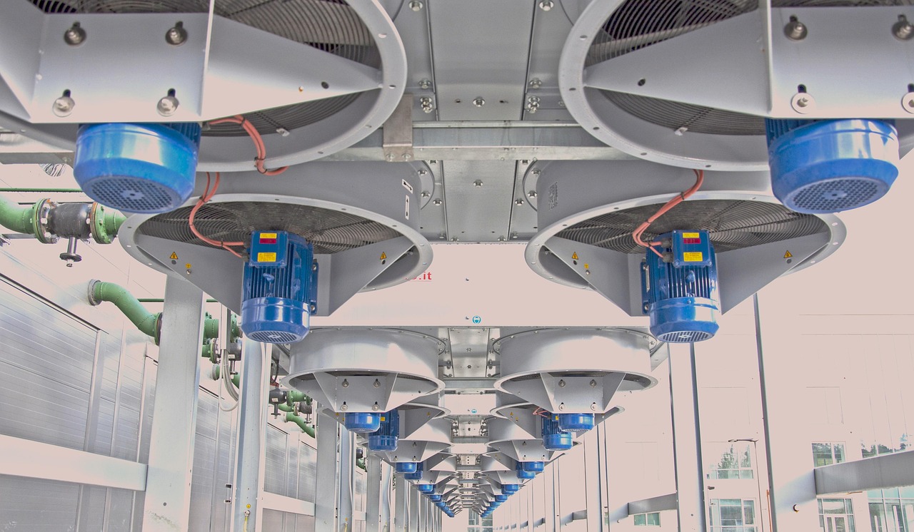 聚名实名账号：迷你世界口水猫账号注册