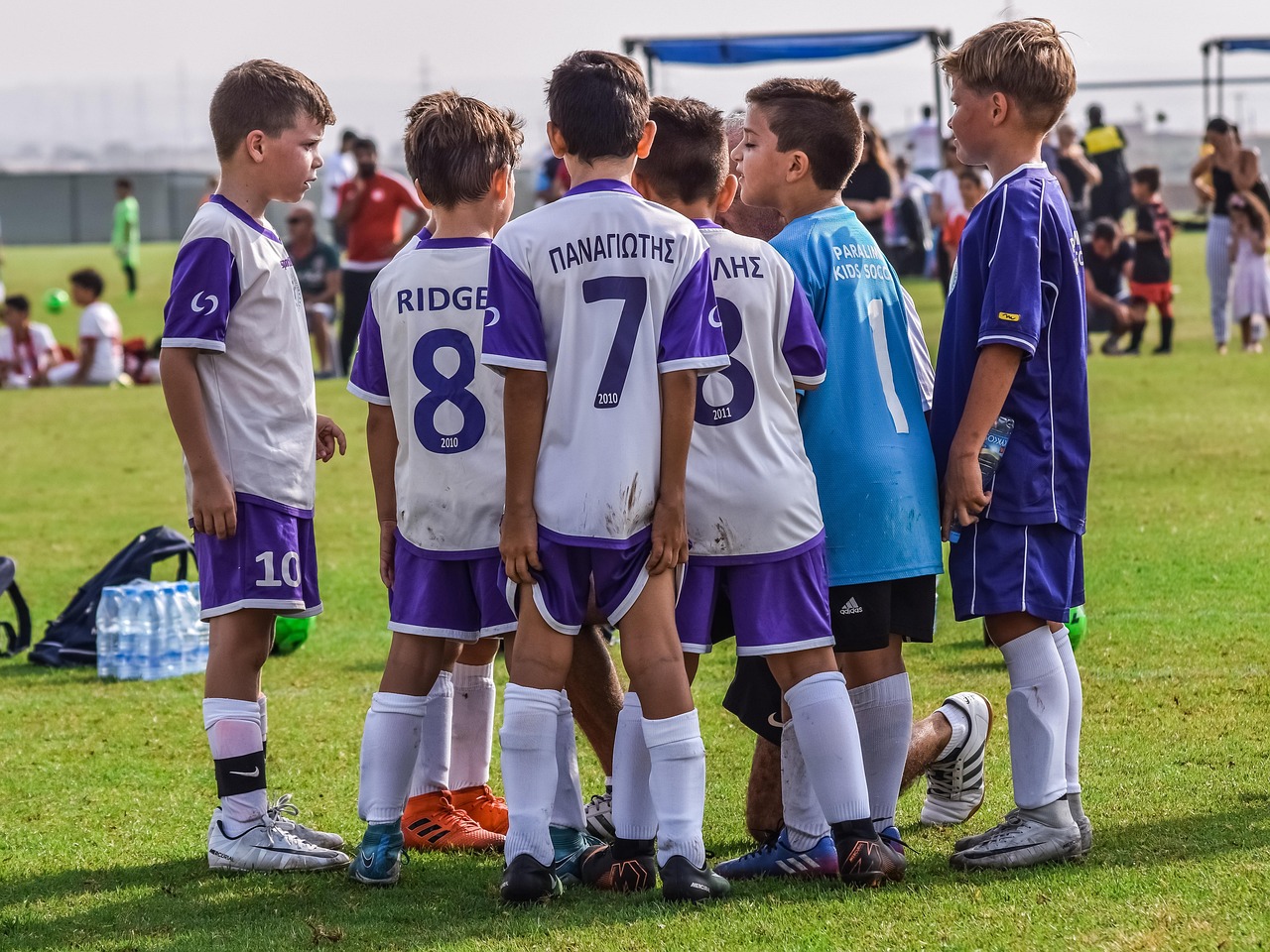 远特信时空实名账号：实名制账号对于在线宠物服务的影响